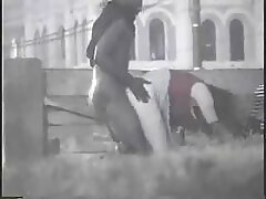 Rubia mierda polla xxx jovenes culonas